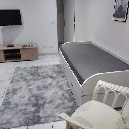 Apartament Studio Charmant Canape Lit Netflix Ligue1 Wifi *